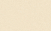 Жёлтые обои для кухни Bernardo Bartalucci Renzo 84165-5