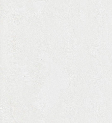 Серые обои для стен Bernardo Bartalucci Gaga  84284-9